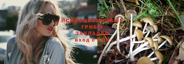 гидропоника Балахна