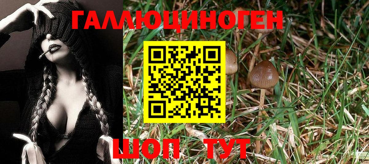 Псилоцибиновые грибы GOLDEN TEACHER  Вход с VPN  Реутов 